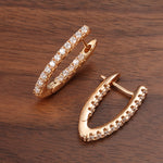 Charger l&#39;image dans la galerie, Boucles d&#39;oreilles - Éclat d&#39;Aurore
